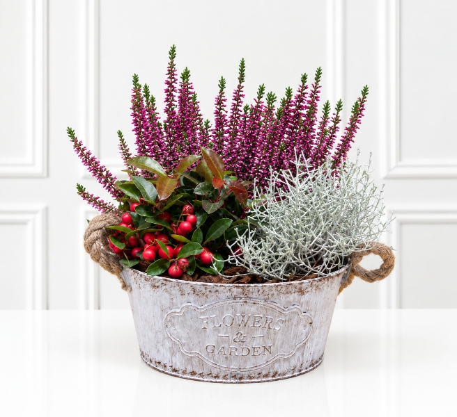 Winter Berry Planter