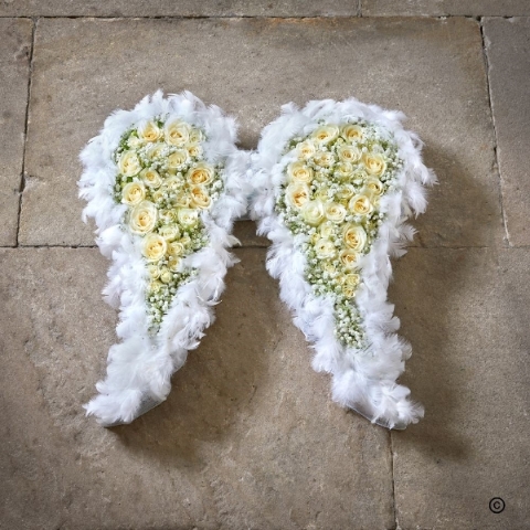 Graceful Angel Wings